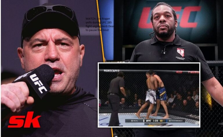 WATCH: Joe Rogan yells during UFC 285 fight urging Herb Dean to pause the bout
