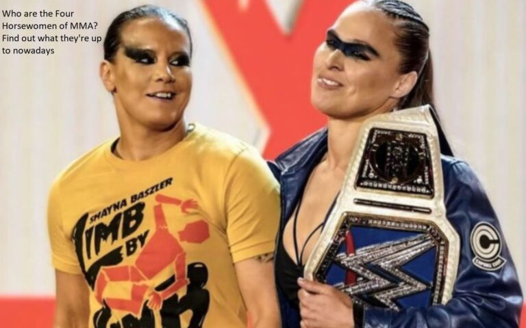 Who are the MMA’s Four Horsewomen? Learn what they are doing now.