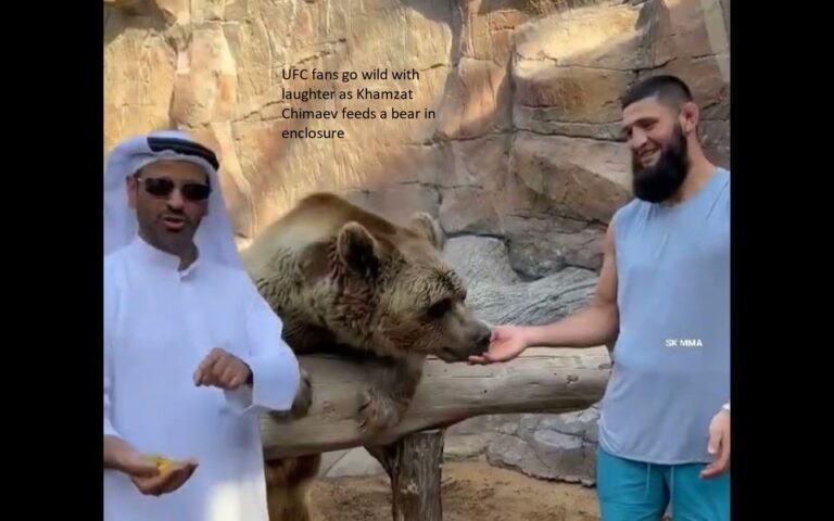 Laughter breaks out among UFC fans as Khamzat Chimaev attempts to feed a bear within an enclosure.